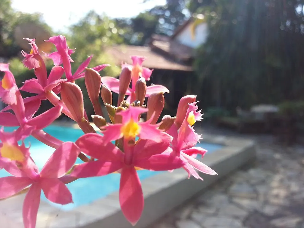 Pousada Alicia Búzios Brazília
